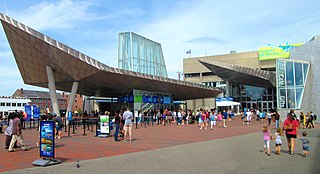 <span class="mw-page-title-main">New England Aquarium</span> Aquarium in Boston, Massachusetts