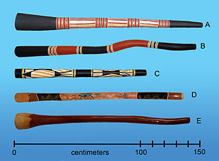 <span class="mw-page-title-main">Didgeridoo</span> Traditional Australian musical instrument