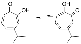 <span class="mw-page-title-main">Thujaplicin</span> Chemical compound