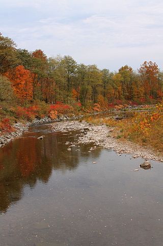 <span class="mw-page-title-main">Bowman Creek</span> River