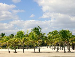 Crandon Park Public park in Florida, US