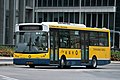 Dennis Dart SLF 11m