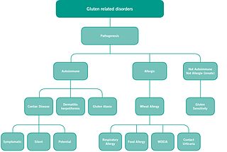 <span class="mw-page-title-main">Gluten-related disorders</span> Set of diseases caused by gluten exposure