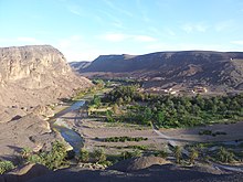 This photo shows the sharp contrast between the oasis and the surrounding desert created by the oasis effect. Oasis de Fint.jpg