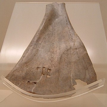 Oracle bone