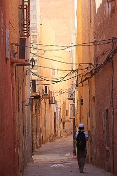 7. Alley in the ksar of Ghardaïa, Ghardaia Province, Algeria Photograph: Gigi Sorrentino Licensing: CC-BY-SA-3.0