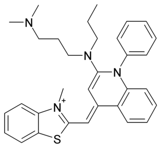 <span class="mw-page-title-main">SYBR Green I</span> Dye used for molecular genetics