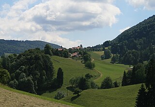 <span class="mw-page-title-main">Souboz</span> Former municipality in Bern, Switzerland