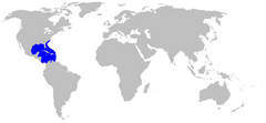 Range of the yellow stingray