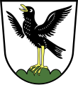 Stadt Starnberg In Silber auf grünem Dreiberg stehend ein flugbereiter, golden bewehrter schwarzer Star.