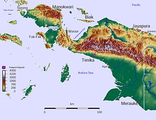 <span class="mw-page-title-main">West New Guinea dispute</span> International conflict