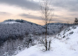 14.12.06 Teutoburger Wald