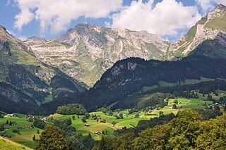 <span class="mw-page-title-main">Agriculture in Switzerland</span> Economic sector in Switzerland