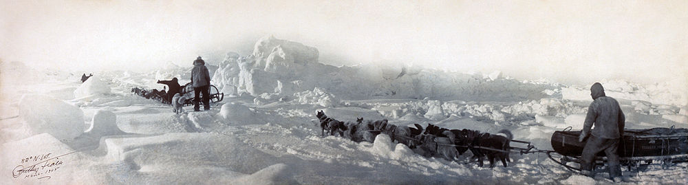 Expedice cestovatele Williama Zieglera při dobývání severního pólu v letech 1903–1905.