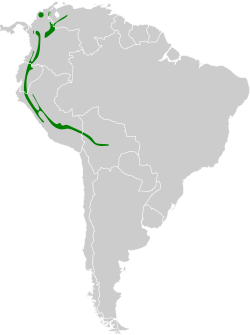 Distribución geográfica del cotinga crestirrojo.