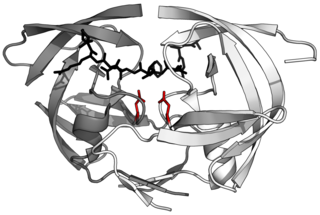 <span class="mw-page-title-main">Aspartic protease</span>