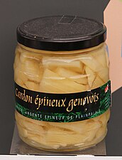 Cardon épineux genevois