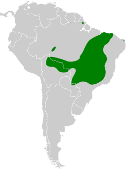 Distribución geográfica de la bandoleta.