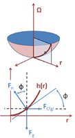 Figure 2: Force diagram for an element of water surface in co-rotating frame. Top: Radial section and selected point on water surface. Bottom: Force diagram at selected point on surface.