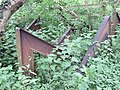 Hairpins in undergrowth, Narborough