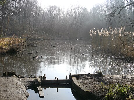 L'étang inférieur dans le marais du Moeraske