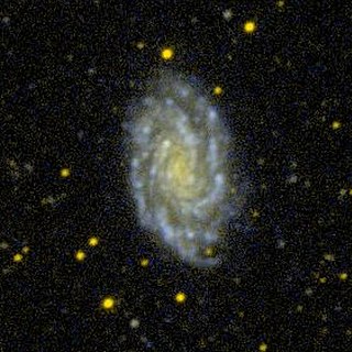 <span class="mw-page-title-main">NGC 7083</span> Spiral galaxy in the constellation Indus