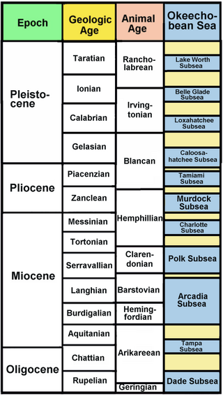 <span class="mw-page-title-main">Okeechobean Sea</span>