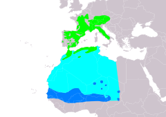 Distribución de Phylloscopus bonelli