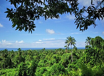 View from Pulemelei Mound (Samoa)