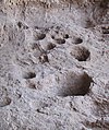 Image 41Rock mortars in Raqefet Cave, used to make beer during the Stone Age. (from History of beer)