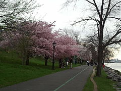 Riverside Park 002.jpg