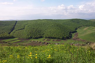 "silva Visaerdei" după 680 de ani.