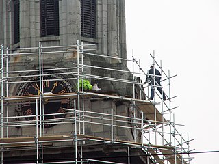 <span class="mw-page-title-main">Steeplejack</span> Construction worker specialising in the exteriors of tall buildings