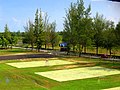 Volleyball courts at Gong Badak campus