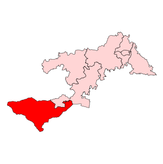 <span class="mw-page-title-main">Chilika Assembly constituency</span> Constituency of the Odisha legislative assembly in India