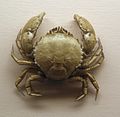 Circular crab, Atelecyclus rotundatus