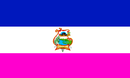 Drapeau de Département de Cuscatlán