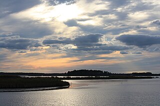 <span class="mw-page-title-main">Blackwater National Wildlife Refuge</span> Waterfowl sanctuary in Maryland, U.S.