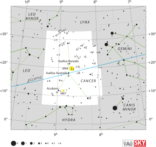 <span class="mw-page-title-main">Kappa Cancri</span> Star in the constellation Cancer