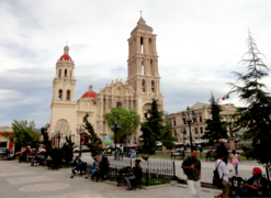 Saltillo