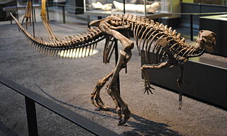 <span class="mw-page-title-main">Dryosauridae</span> Extinct family of dinosaurs