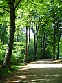 A May day in Fælledparken