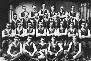 <span class="mw-page-title-main">1904 VFL season</span> Eighth season of the Victorian Football League (VFL)