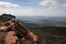 Mount William, looking east towards Ararat. Mt William 2.JPG