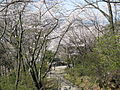 長野公園（長野地区）