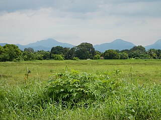 <span class="mw-page-title-main">Mounts Palay-Palay–Mataas-na-Gulod Protected Landscape</span>