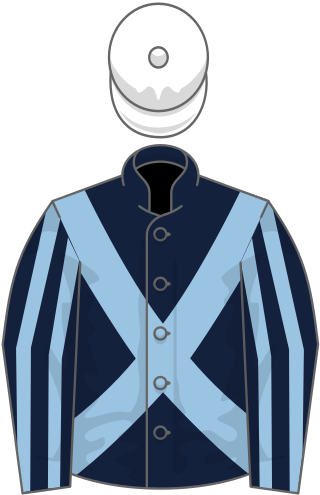 <span class="mw-page-title-main">Light Shift</span> American-bred Thoroughbred racehorse