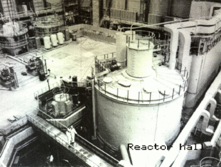 <span class="mw-page-title-main">Fast-neutron reactor</span> Nuclear reactor where fast neutrons maintain a fission chain reaction