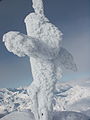 The Steirische Kalkspitze in the Schladming Tauern in winter