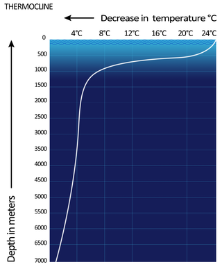 <span class="mw-page-title-main">Thermocline</span> Distinct layer of temperature change in a body of water